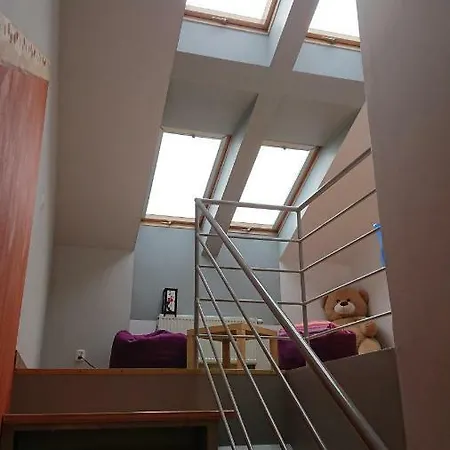 Wute23 Rakowicka * Krakov